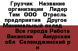 Грузчик › Название организации ­ Лидер Тим, ООО › Отрасль предприятия ­ Другое › Минимальный оклад ­ 11 000 - Все города Работа » Вакансии   . Амурская обл.,Селемджинский р-н